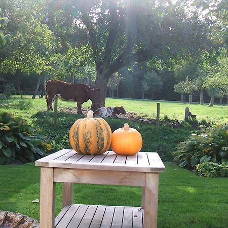 Bed And Breakfast Rodenberg Driebergen Exterior foto